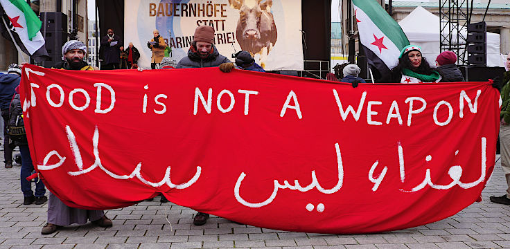 © www.mutbuergerdokus.de: Demonstration 'WIR HABEN ES SATT!'