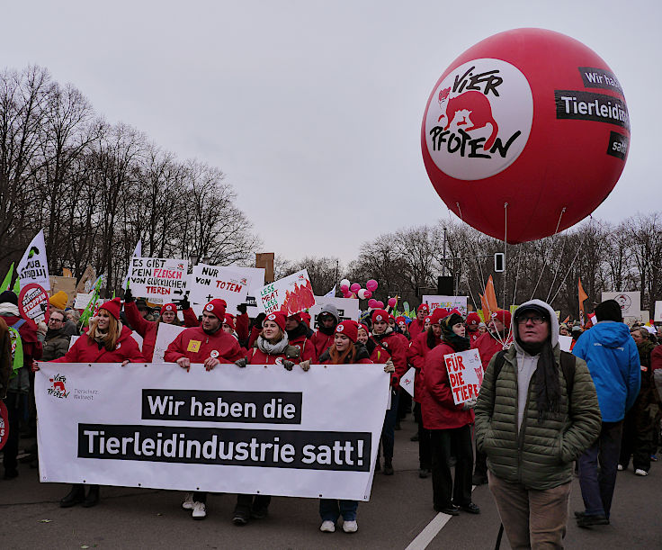 © www.mutbuergerdokus.de: Demonstration 'WIR HABEN ES SATT!'