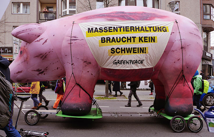 © www.mutbuergerdokus.de: Demonstration 'WIR HABEN ES SATT!'