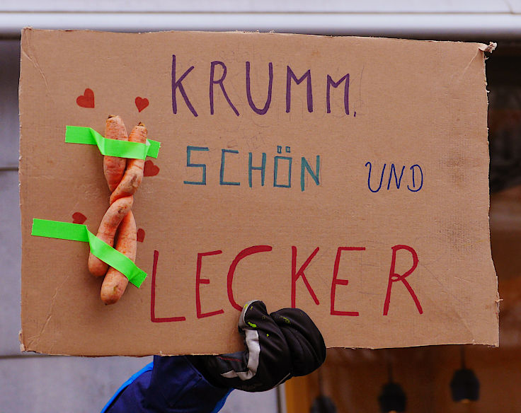 © www.mutbuergerdokus.de: Demonstration 'WIR HABEN ES SATT!'