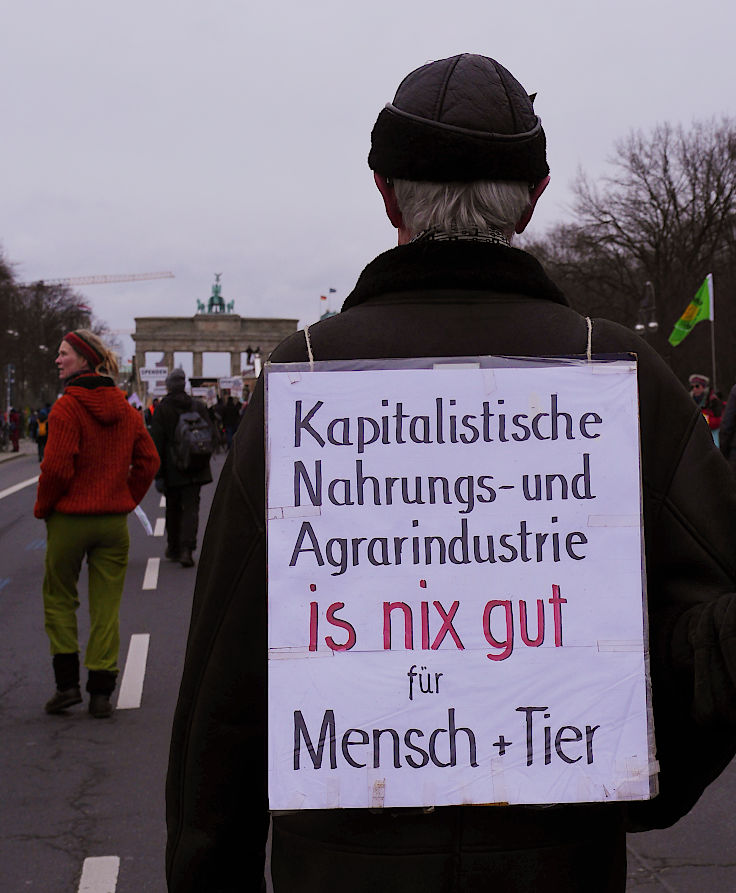© www.mutbuergerdokus.de: Demonstration 'WIR HABEN ES SATT!'