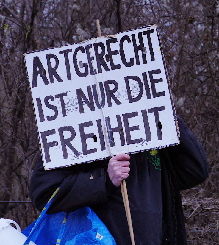 © www.mutbuergerdokus.de: Demonstration 'WIR HABEN ES SATT!'