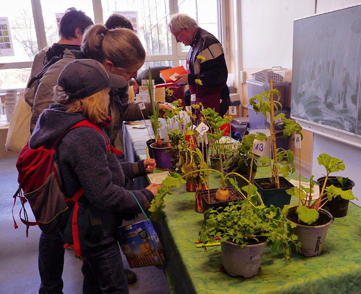 © www.mutbuergerdokus.de: 7. 'Saatgut-Festival Düsseldorf'