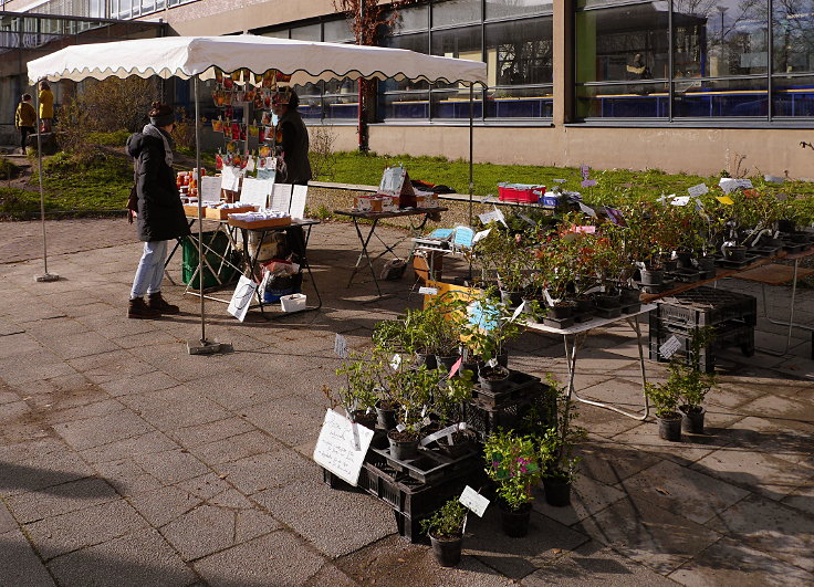 © www.mutbuergerdokus.de: 7. 'Saatgut-Festival Düsseldorf'