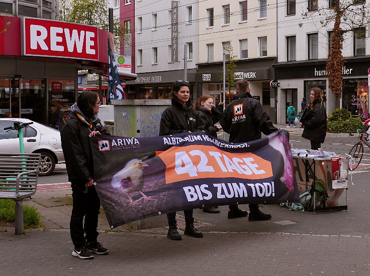 © www.mutbuergerdokus.de: ARiWa Düsseldorf-Neuss: Ampelaktion 'Albtraum Hühnermast. 42 Tage bis zum Tod!'