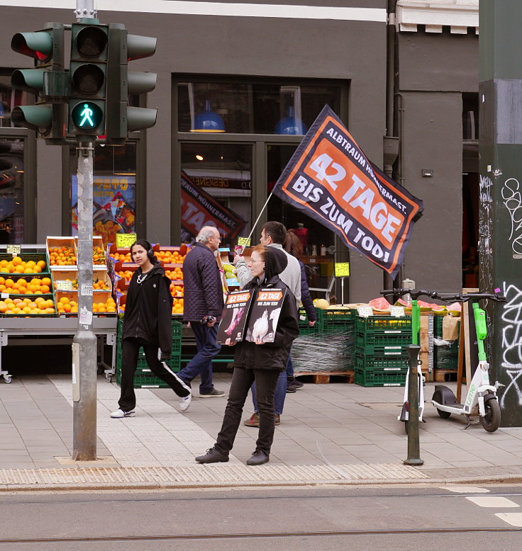 © www.mutbuergerdokus.de: ARiWa Düsseldorf-Neuss: Ampelaktion 'Albtraum Hühnermast. 42 Tage bis zum Tod!'