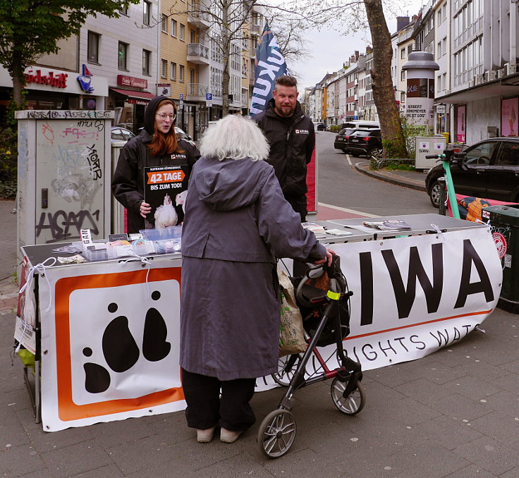 © www.mutbuergerdokus.de: ARiWa Düsseldorf-Neuss: Ampelaktion 'Albtraum Hühnermast. 42 Tage bis zum Tod!'