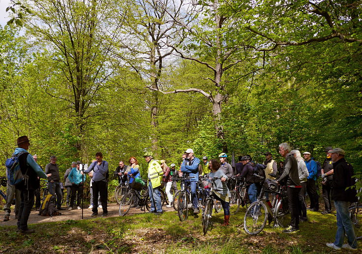 © www.mutbuergerdokus.de: Wald statt Kohle - Radtour rund um Manheim, Morschenich und den Hambacher Wald