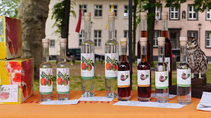 © www.mutbuergerdokus.de: 5. 'Woche der Nachhaltigkeit': 7. Umweltmarkt