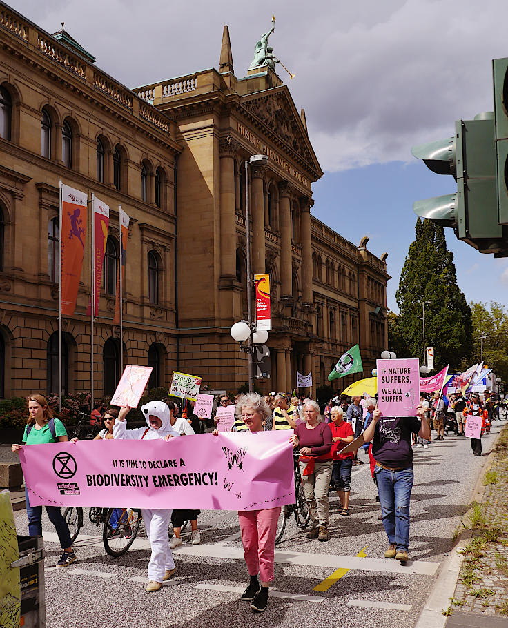 © www.mutbuergerdokus.de: Extinction Rebellion Bonn: Großdemonstration 'JETZT Notstand Artensterben ausrufen!'