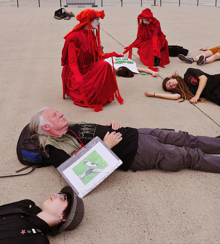 © www.mutbuergerdokus.de: Extinction Rebellion Bonn: Großdemonstration 'JETZT Notstand Artensterben ausrufen!'