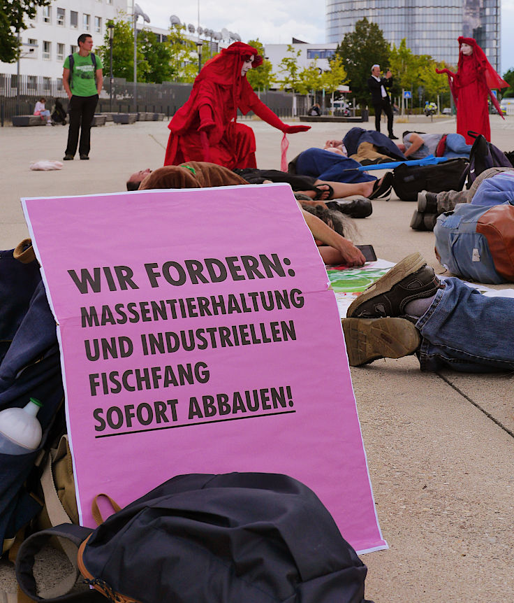 © www.mutbuergerdokus.de: Extinction Rebellion Bonn: Großdemonstration 'JETZT Notstand Artensterben ausrufen!'