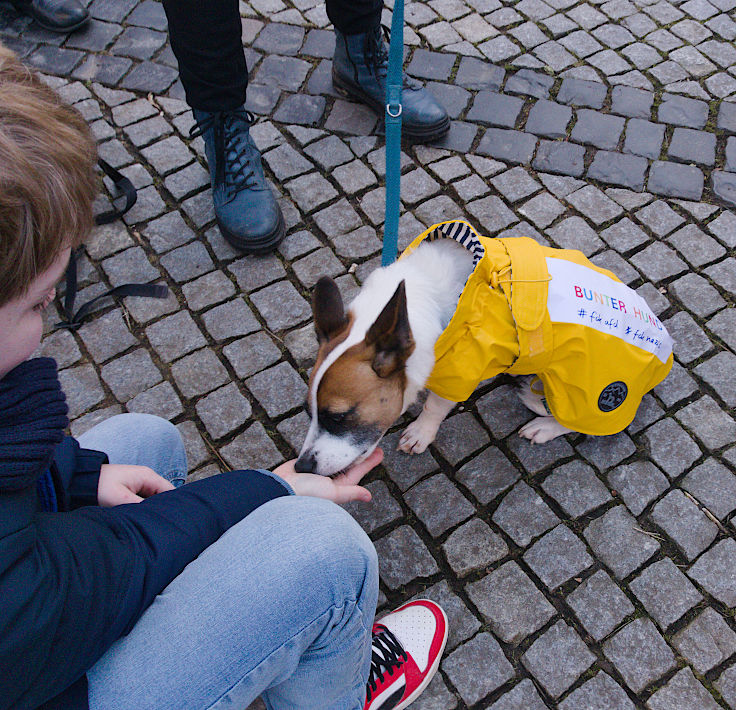 © www.mutbuergerdokus.de: Kundgebung 'Demokratie verteidigen! Aufstehen gegen Rechtsextremismus!'