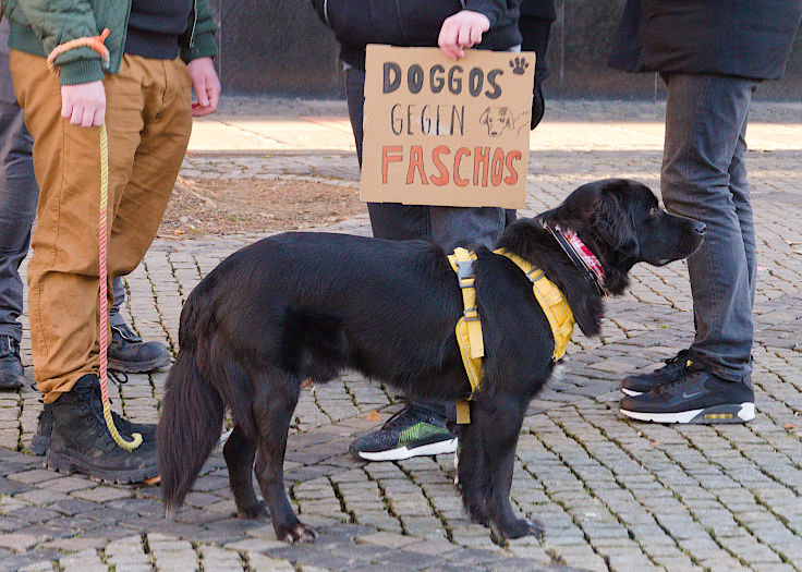 © www.mutbuergerdokus.de: Kundgebung 'Demokratie verteidigen! Aufstehen gegen Rechtsextremismus!'