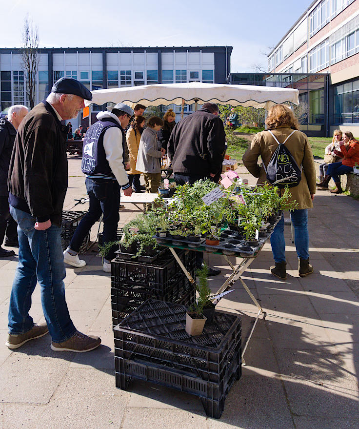 © www.mutbuergerdokus.de: 8. 'Saatgut-Festival Düsseldorf'