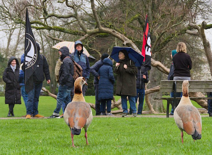 © www.mutbuergerdokus.de: Kundgebung 'Düsseldorf stellt sich quer gegen extreme Rechte und Rassismus!'