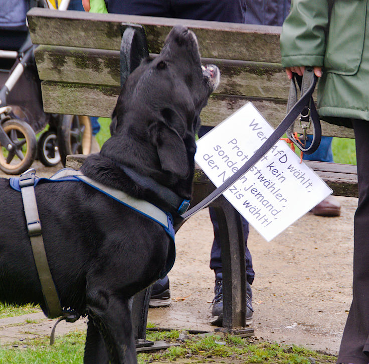 © www.mutbuergerdokus.de: Kundgebung 'Düsseldorf stellt sich quer gegen extreme Rechte und Rassismus!'