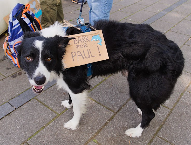 © www.mutbuergerdokus.de: Kundgebung 'FREE Paul Watson'