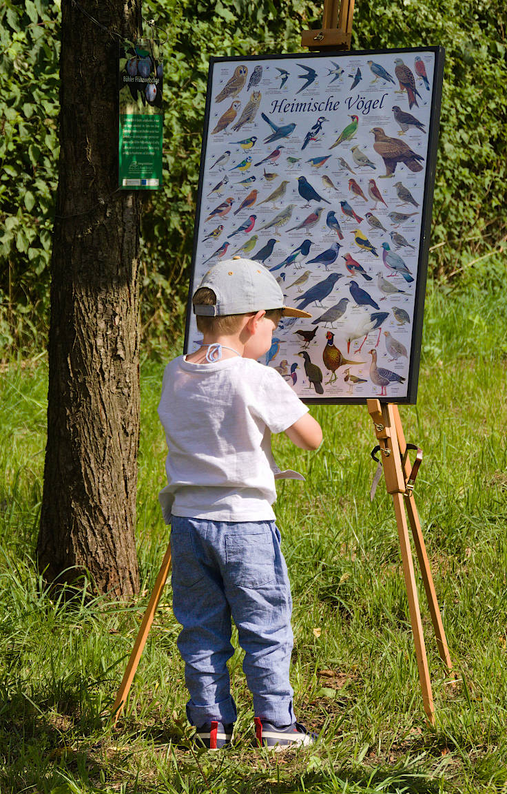 © www.mutbuergerdokus.de: Tag des offenen Denkmals: Aktionstag auf Haus Bürgel © www.mutbuergerdokus.de: Tag des offenen Denkmals: Aktionstag auf Haus Bürgel
