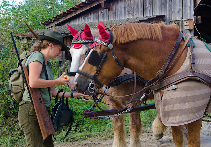 © www.mutbuergerdokus.de: Tag des offenen Denkmals: Aktionstag auf Haus Bürgel © www.mutbuergerdokus.de: Tag des offenen Denkmals: Aktionstag auf Haus Bürgel