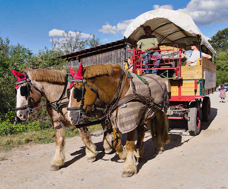 © www.mutbuergerdokus.de: Tag des offenen Denkmals: Aktionstag auf Haus Bürgel © www.mutbuergerdokus.de: Tag des offenen Denkmals: Aktionstag auf Haus Bürgel