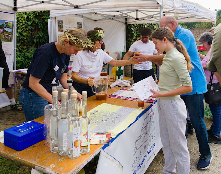 &copy; www.mutbuergerdokus.de: Tag des offenen Denkmals: Aktionstag auf Haus B&uuml;rgel