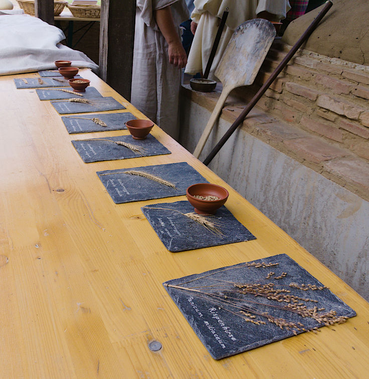 &copy; www.mutbuergerdokus.de: Tag des offenen Denkmals: Aktionstag auf Haus B&uuml;rgel