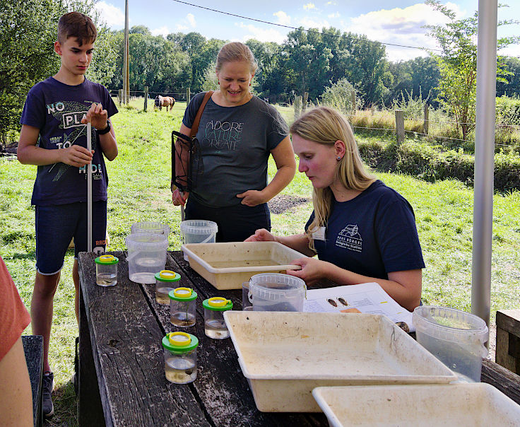 &copy; www.mutbuergerdokus.de: Tag des offenen Denkmals: Aktionstag auf Haus B&uuml;rgel