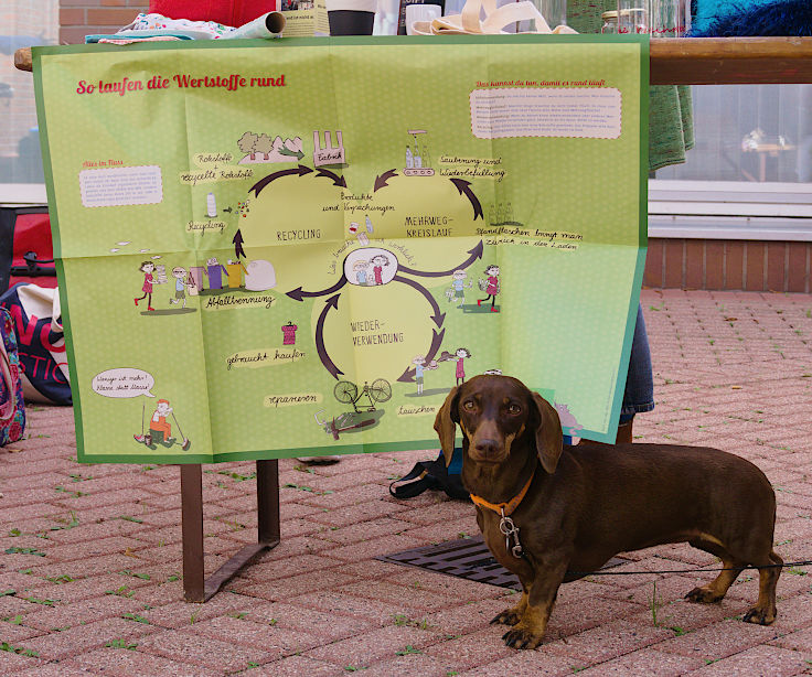 © www.mutbuergerdokus.de: 6. 'Woche der Nachhaltigkeit': 8. Umweltmarkt