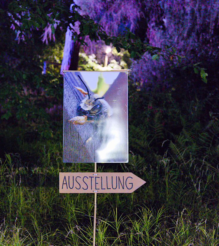 &copy; www.mutbuergerdokus.de: Kulturnacht Neuss: 'nachtgruen'