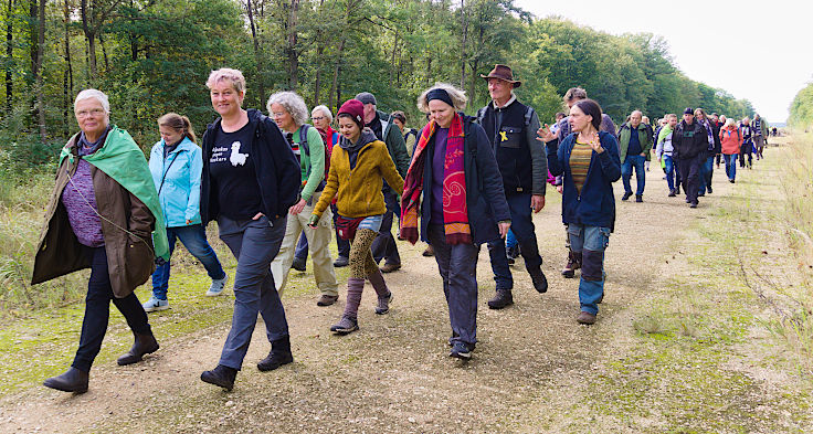 © www.mutbuergerdokus.de: Waldspaziergang am und im Hambacher Wald