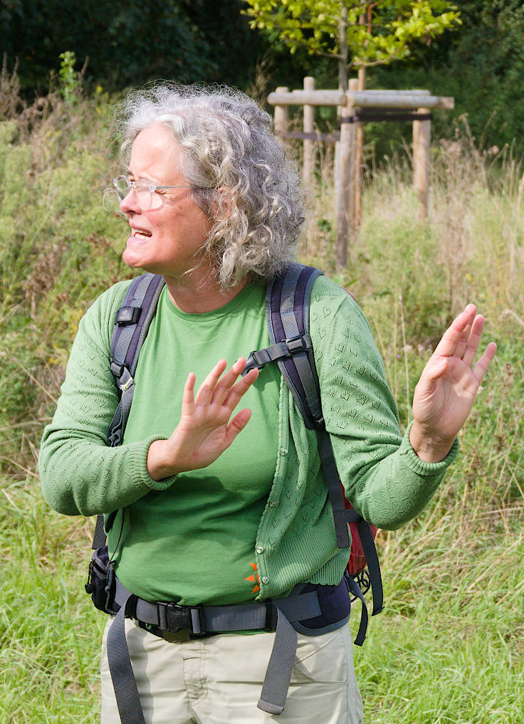 © www.mutbuergerdokus.de: Waldspaziergang am und im Hambacher Wald