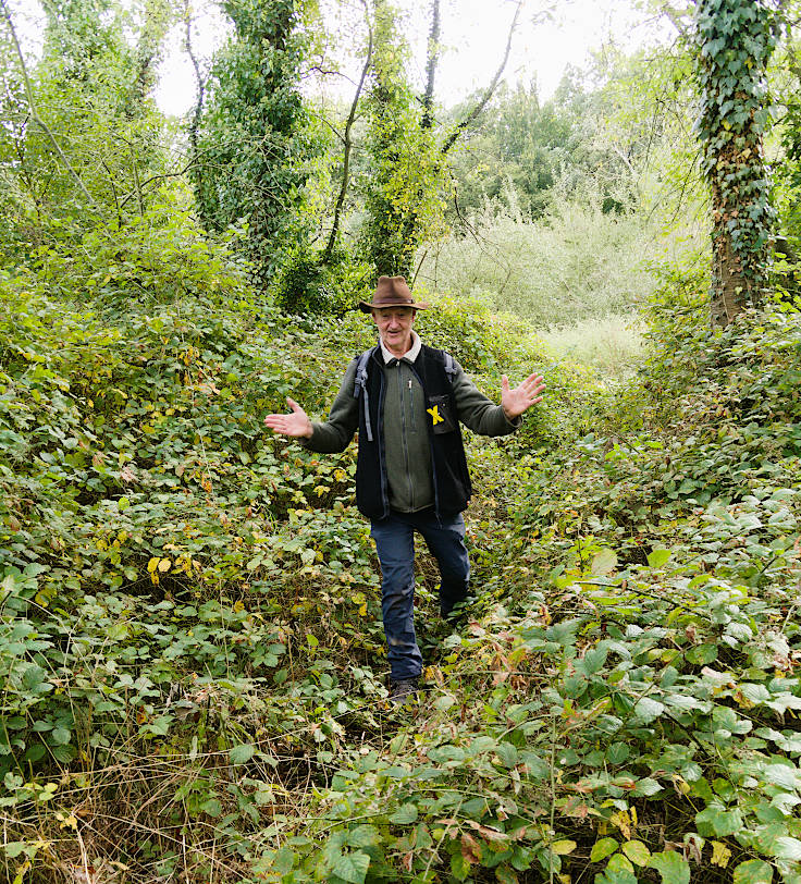 © www.mutbuergerdokus.de: Waldspaziergang am und im Hambacher Wald