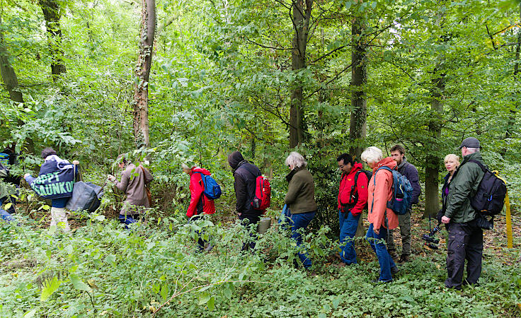 © www.mutbuergerdokus.de: Waldspaziergang am und im Hambacher Wald