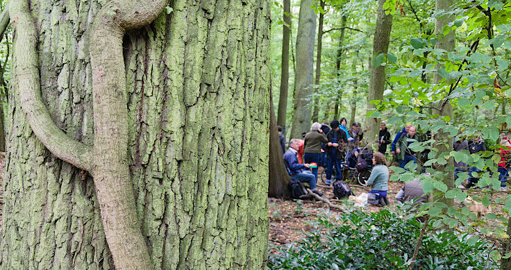 © www.mutbuergerdokus.de: Waldspaziergang am und im Hambacher Wald