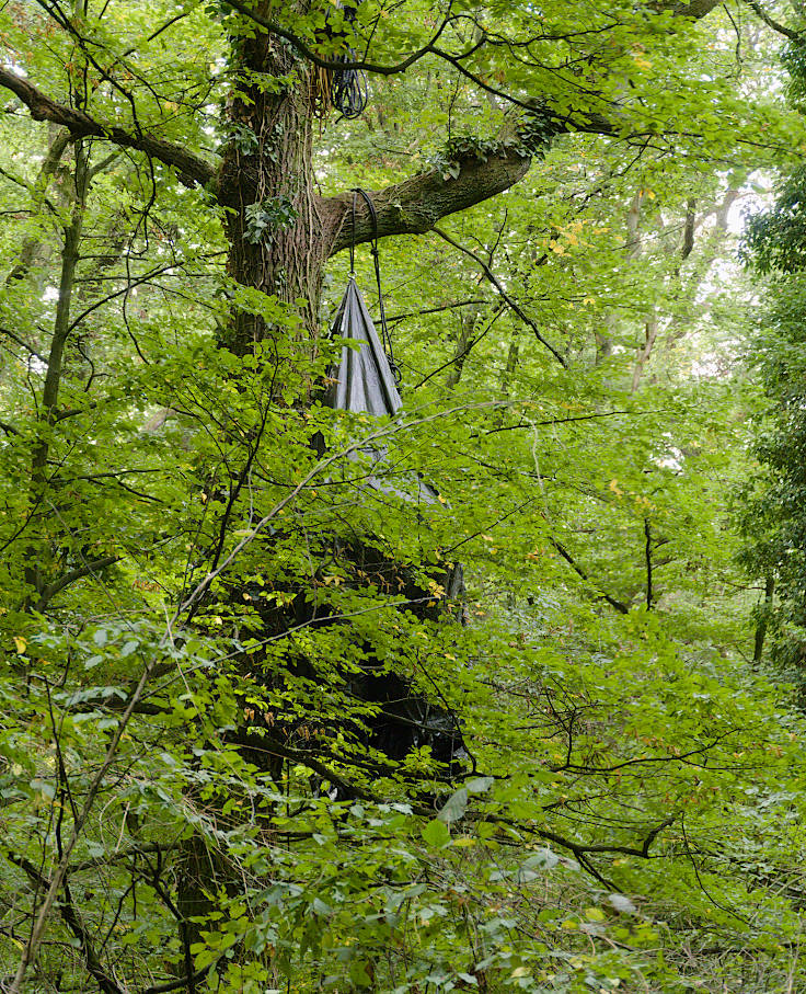 © www.mutbuergerdokus.de: Waldspaziergang am und im Hambacher Wald