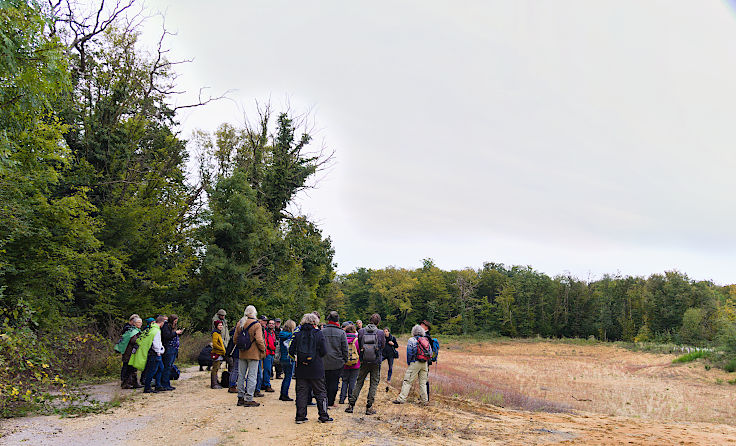 © www.mutbuergerdokus.de: Waldspaziergang am und im Hambacher Wald