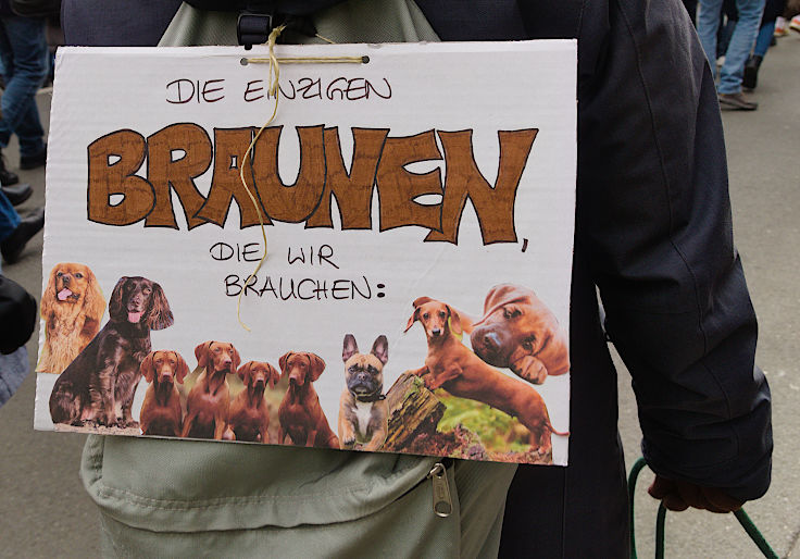 © www.mutbuergerdokus.de: Düsseldorf stellt sich quer: Demonstration 'Gegen die AfD und die Rechtsentwicklung der Gesellschaft' © www.mutbuergerdokus.de: Düsseldorf stellt sich quer: Demonstration 'Gegen die AfD und die Rechtsentwicklung der Gesellschaft'