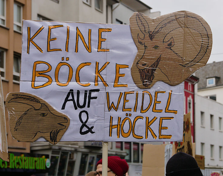 © www.mutbuergerdokus.de: Düsseldorf stellt sich quer: Demonstration 'Gegen die AfD und die Rechtsentwicklung der Gesellschaft' © www.mutbuergerdokus.de: Düsseldorf stellt sich quer: Demonstration 'Gegen die AfD und die Rechtsentwicklung der Gesellschaft'