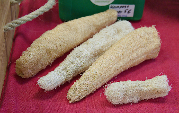 &copy; www.mutbuergerdokus.de: Saatgutfestival K&ouml;ln