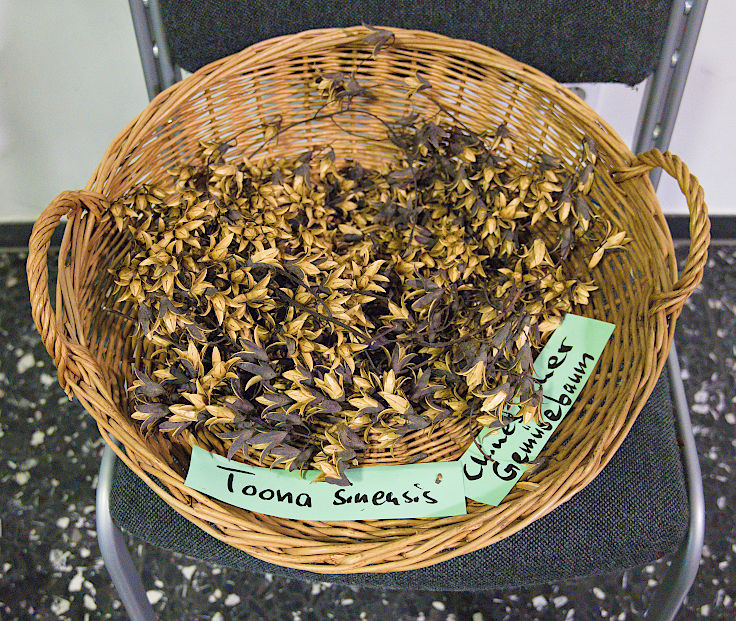 &copy; www.mutbuergerdokus.de: Saatgutfestival K&ouml;ln