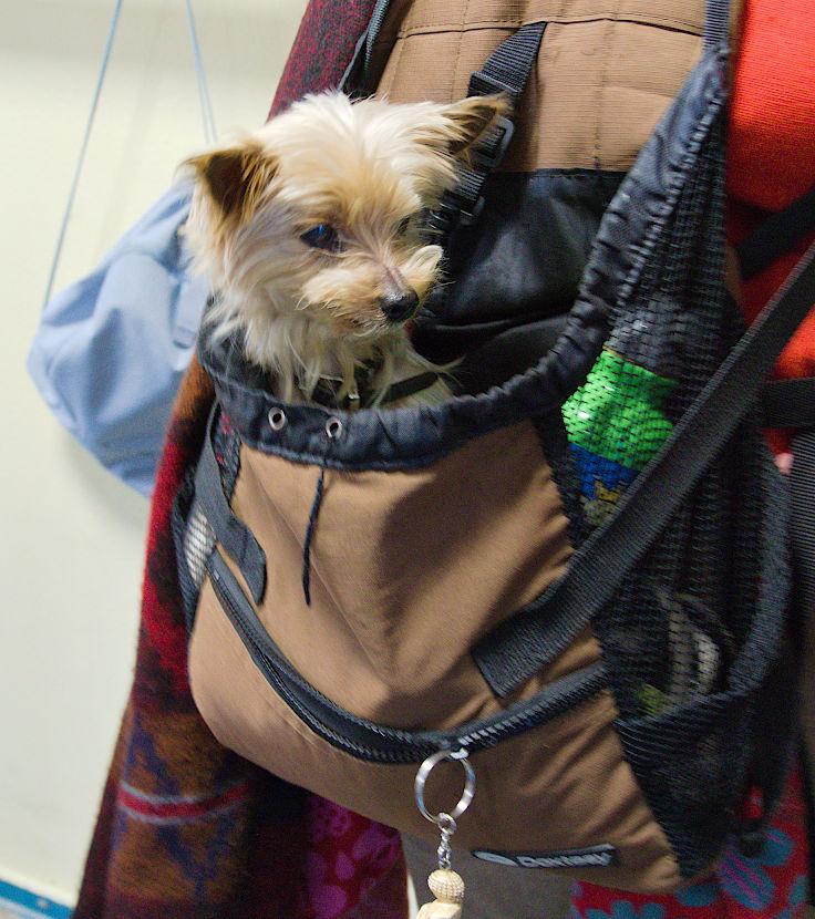 © www.mutbuergerdokus.de: 9. 'Saatgut-Festival Düsseldorf' © www.mutbuergerdokus.de: 9. 'Saatgut-Festival Düsseldorf'