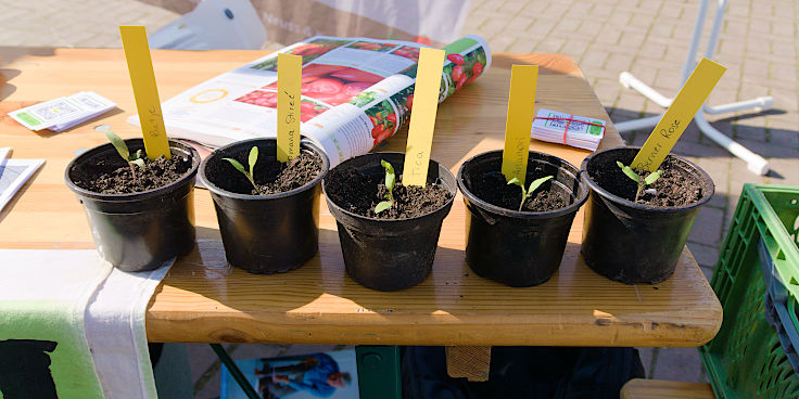&copy; www.mutbuergerdokus.de: 9. 'Saatgut-Festival D&uuml;sseldorf'