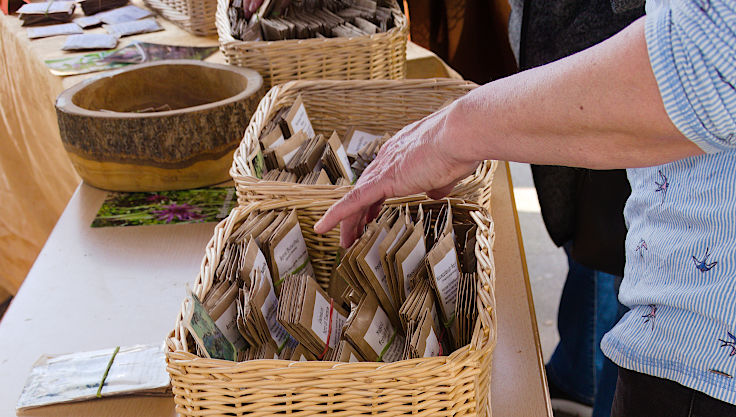 &copy; www.mutbuergerdokus.de: 9. 'Saatgut-Festival D&uuml;sseldorf'