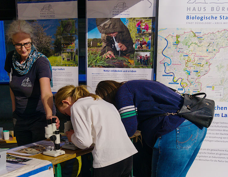 &copy; www.mutbuergerdokus.de: 9. 'Saatgut-Festival D&uuml;sseldorf'