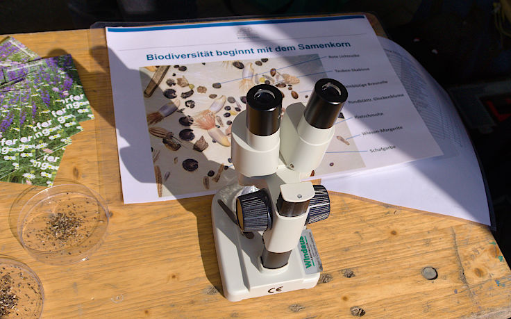 &copy; www.mutbuergerdokus.de: 9. 'Saatgut-Festival D&uuml;sseldorf'