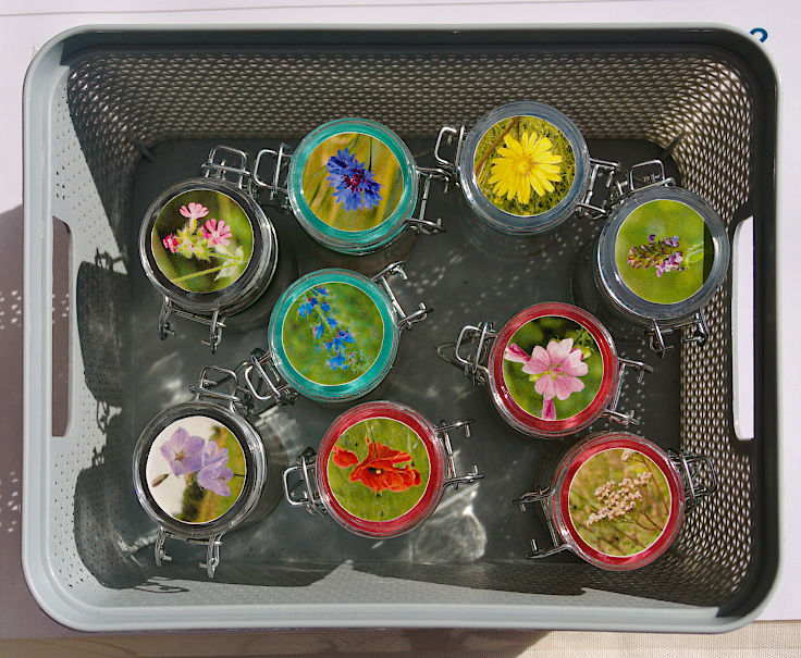 &copy; www.mutbuergerdokus.de: 9. 'Saatgut-Festival D&uuml;sseldorf'