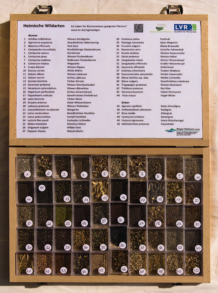 &copy; www.mutbuergerdokus.de: 9. 'Saatgut-Festival D&uuml;sseldorf'