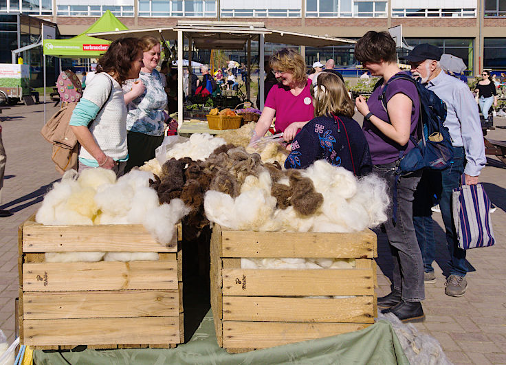 &copy; www.mutbuergerdokus.de: 9. 'Saatgut-Festival D&uuml;sseldorf'