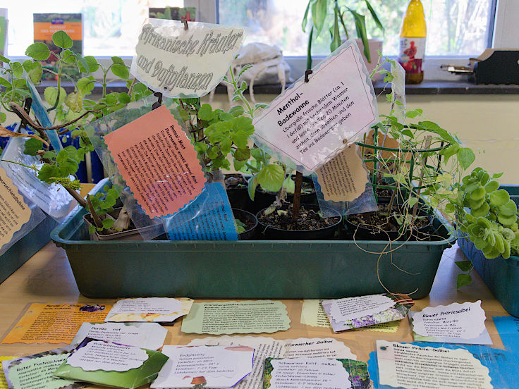 &copy; www.mutbuergerdokus.de: 9. 'Saatgut-Festival D&uuml;sseldorf'